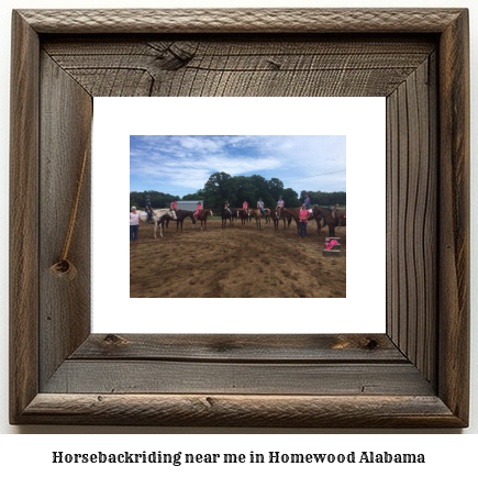 horseback riding near me in Homewood, Alabama